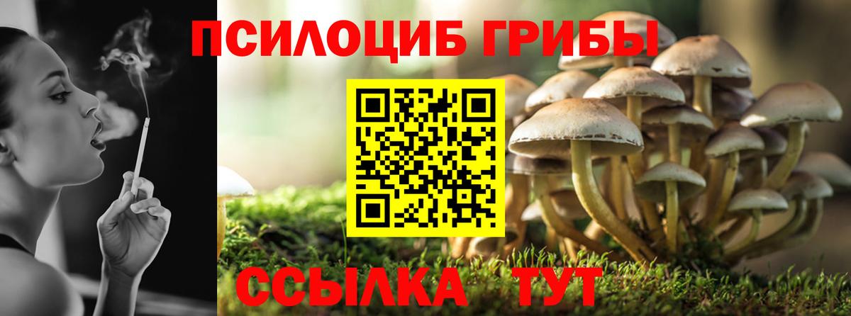 Псилоцибиновые грибы мицелий  Псилоцибиновые грибы Psilocybe  Вход с VPN  Назрань 